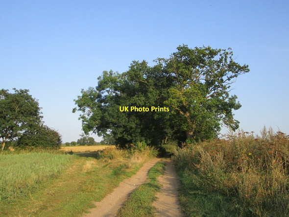 Photo 6"x4" Restricted byway to Fincham Drove West Acre c2021
