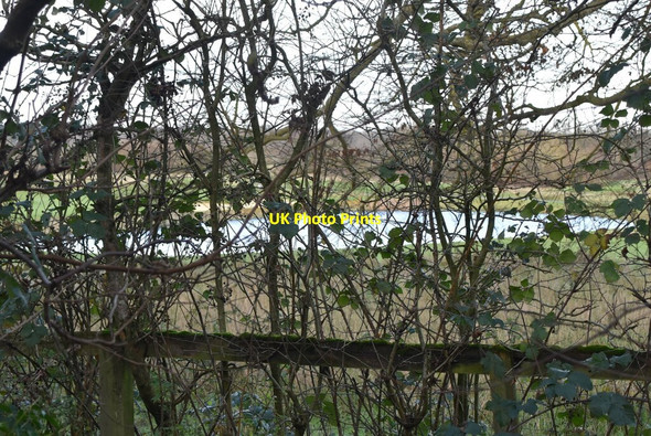 Photo 6"x4" Lake, London Golf Course Stansted c2020