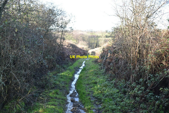 Photo 6"x4" Grassy byway Ponts Green c2020