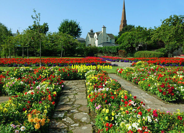 Photo 6"x4" Summer flowers in Orchard Gardens Girvan c2021
