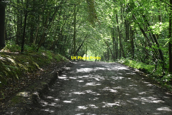 Photo 6"x4" Bridleway, Dene Park Claygate\/TQ6051 c2021