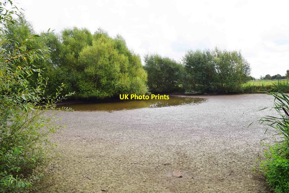 Photo 6"x4" Pond, Monkwood Green, Worcs Monkwood Green c2021
