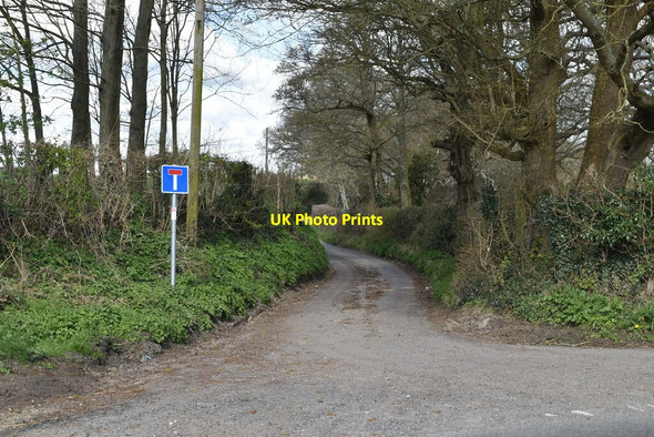 Photo 6"x4" Nettlepole Lane Little Chart c2021