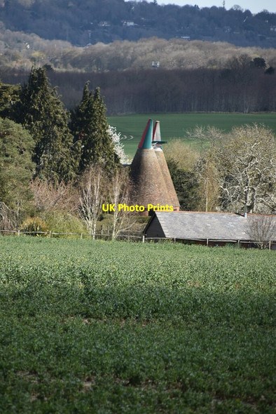 Photo 6"x4" Chart Court Oast Little Chart c2021