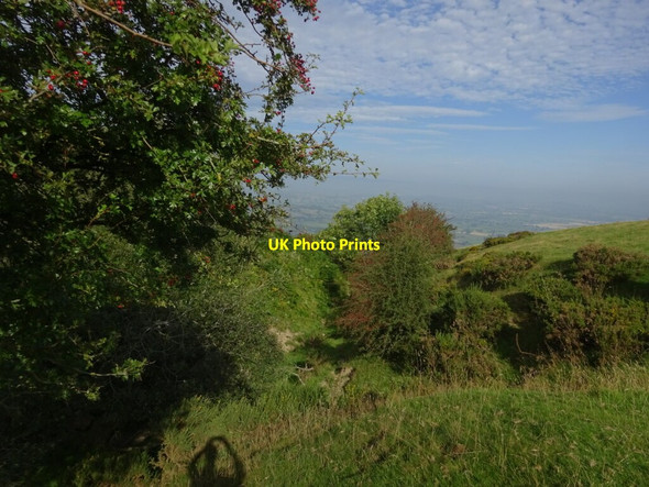 Photo 6"x4" Deep stream gorge on the side of Heldre Hill Brunant\/SJ2809 c2021