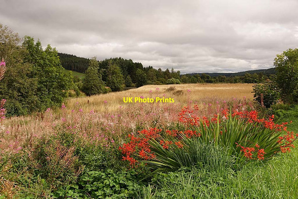 Photo 6"x4" Haugh Land in Strathdon Forbestown c2021