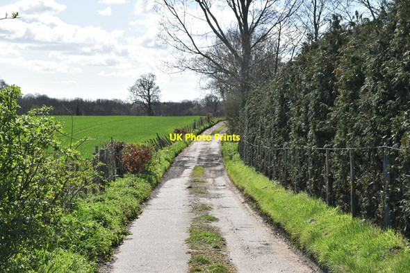 Photo 6"x4" Track through Calehill Park Little Chart c2021