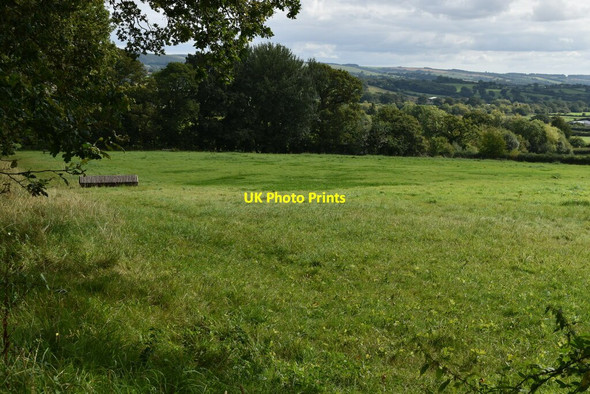Photo 6"x4" Field above Hill Farm Stour Row c2021