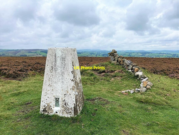 Photo 6"x4" Triangulation Pillar and Cairn on Revidge Moor Hayes\/SK0860 c2021