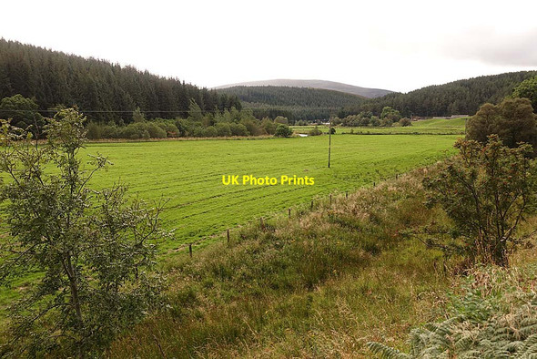 Photo 6"x4" Haugh Land in Strathdon Corgarff c2021
