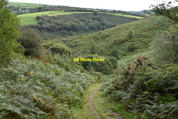 Photo 6"x4" Ladies Mile Path Trentishoe c2021