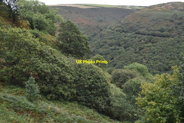 Photo 6"x4" Looking into the Heddon Valley Martinhoe c2021