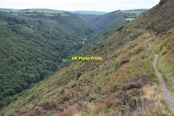 Photo 6"x4" View into Heddon Valley Martinhoe c2021