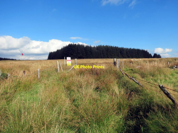 Photo 6"x4" Llwybr ceffyl ar Fynydd Epynt \/ Bridleway on Mynydd Epynt Babel c2021