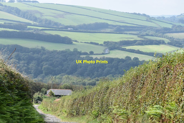 Photo 6"x4" Descending Stony Lane Churchtown\/SS6744 c2021