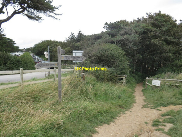 Photo 6"x4" Footpaths near Durdle Door West Lulworth c2021