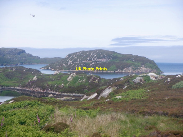 Photo 6"x4" Eilean \u00c3\u0080rd Sgeir Iosal c2021