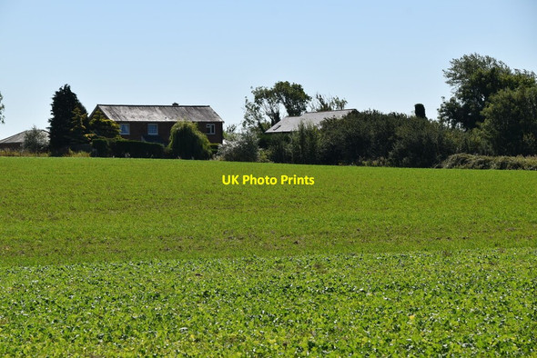 Photo 6"x4" Berwick Manor Farm Berwick\/TR1235 c2020 P1