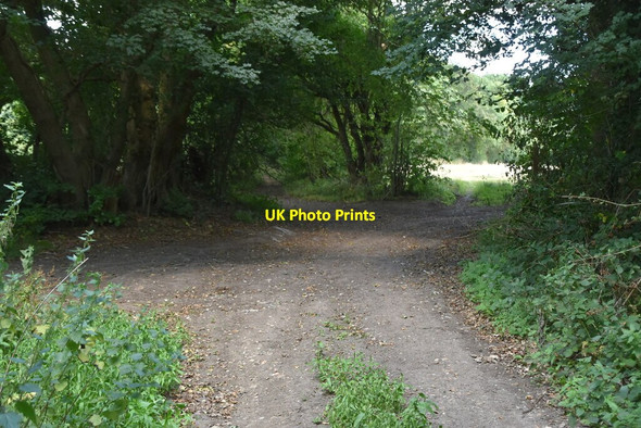 Photo 6"x4" Footpath, byway junction Sole Street\/TR0949 c2020