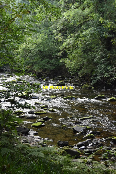 Photo 6"x4" River Barle north of Tarr Steps Hawkridge c2021
