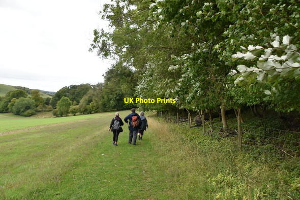 Photo 6"x4" Bridleway by Churchfield Wood Skirmett c2020