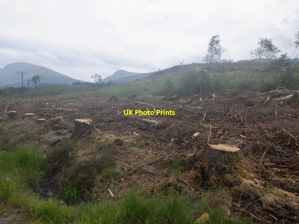 Photo 6"x4" Clearfell near Dalmally Glenview c2021