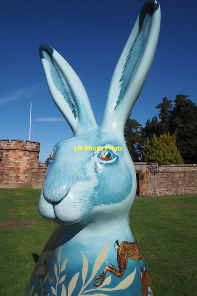 Photo 6"x4" Big Hare Trail no 10 at Dirleton Castle in East Lothian Dirleton\/NT5183 c2021