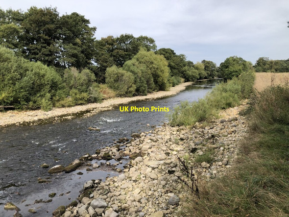 Photo 6"x4" River Ure East Of Mickley West Tanfield c2021