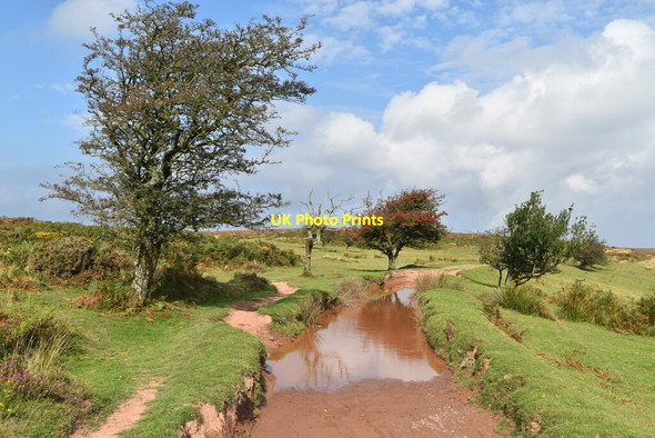 Photo 6"x4" Large puddle on track from Black Ball Hill Bicknoller c2021