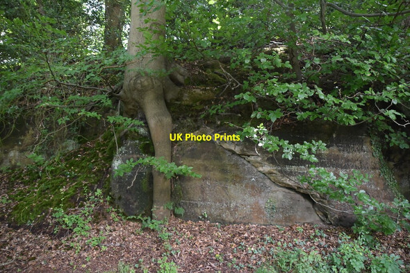 Photo 6"x4" Sandstone cliff, Grove Rd Salmans c2021