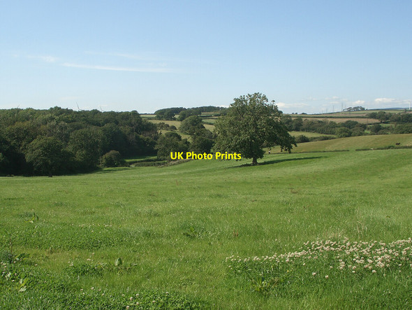 Photo 6"x4" Farmland by the north east corner of Coed Cwintin Laleston\/Trelales c2021
