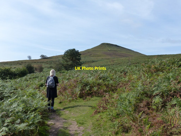 Photo 6"x4" In bracken with a view of the Sugarloaf Bettws\/SO2919 c2021