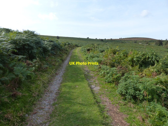 Photo 6"x4" Track through bracken heading uphill Llwyn-du\/SO2816 c2021