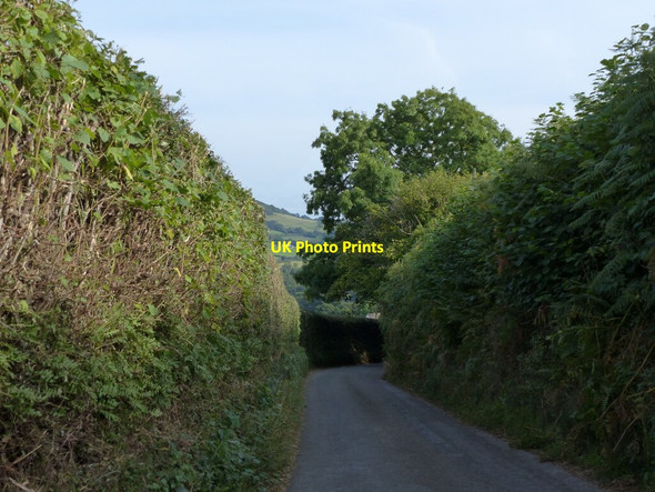 Photo 6"x4" Downhill towards Pantygelli Bettws\/SO2919 c2021