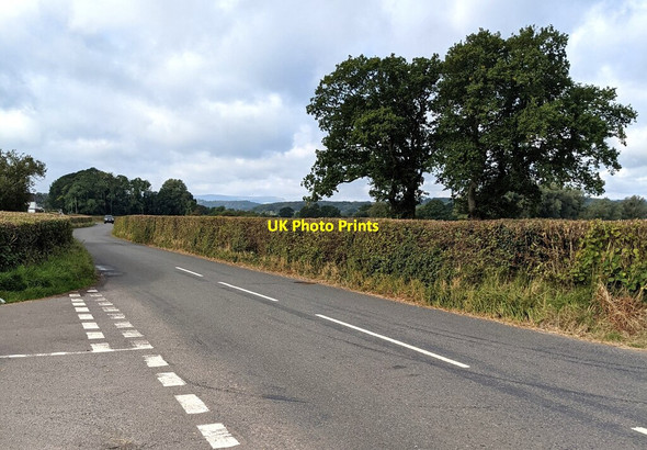 Photo 6"x4" Trees and hedges, Gwernesney, Monmouthshire Gwernesney c2021