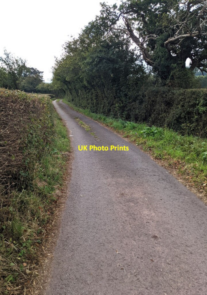 Photo 6"x4" Lane towards a church, Gwernesney, Monmouthshire Gwernesney c2021