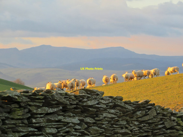 Photo 6"x4" Golygfa tuag at Cadair Idris Melinbyrhedyn c2018