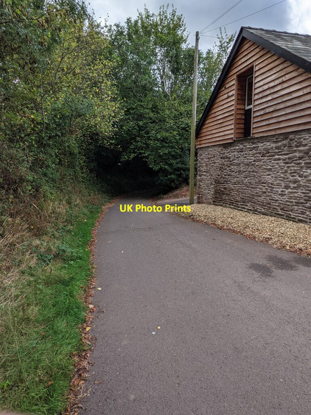 Photo 6"x4" Towards the shady part of a lane, Gwernesney, Monmouthshire Gwernesney c2021