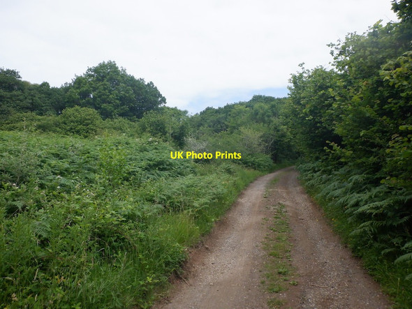 Photo 6"x4" Road, Drimnin Bunavullin c2021