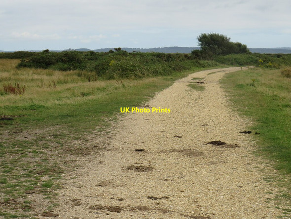 Photo 6"x4" Track over salt marshes near Lymington Lymington c2021