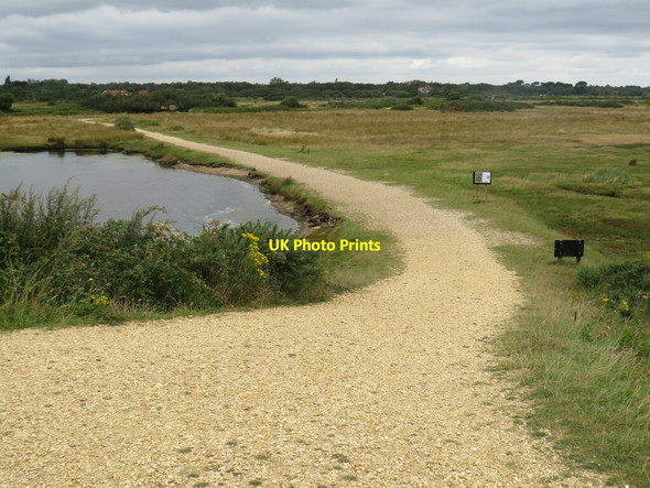 Photo 6"x4" Track across Pennington Marshes, near Lymington Lower Pennington c2021