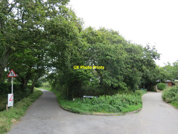 Photo 6"x4" Normandy Lane, near Lymington Lymington c2021