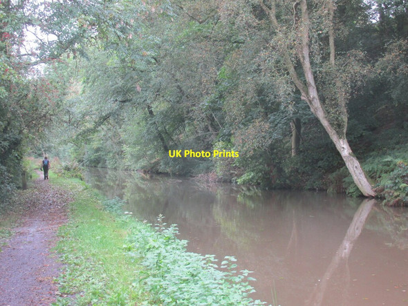 Photo 6"x4" The Cheshire Ring Canal Walk Oakgrove\/SJ9169 c2021