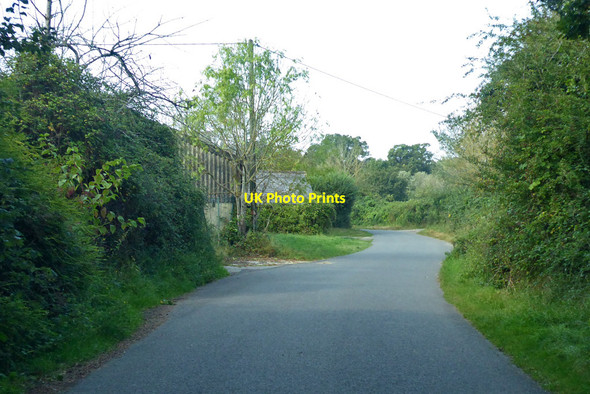 Photo 6"x4" Cabbage Hill Lane Binfield c2021