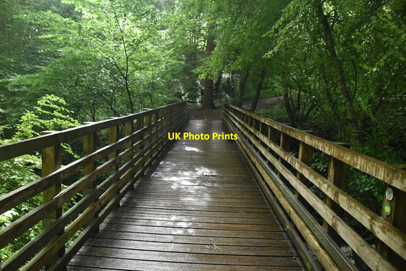 Photo 6"x4" Footbridge over Moness Burn, Birks of Aberfeldy Aberfeldy c2021