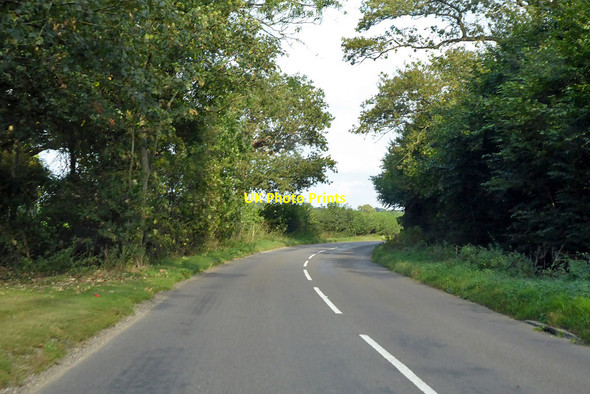 Photo 6"x4" Littleworth Road Littleworth Common\/SU9386 c2021
