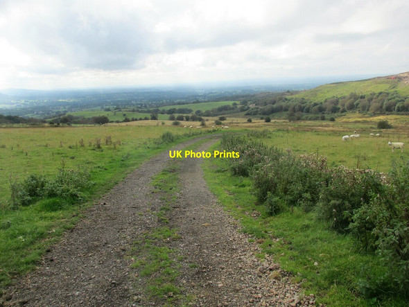 Photo 6"x4" Track from Fairyhough farm. Oakgrove\/SJ9169 c2021