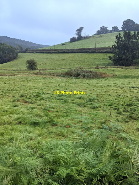 Photo 6"x4" Towards Usk Road, Mynydd-bach, Monmouthshire Mynydd-bach\/ST4894 c2021