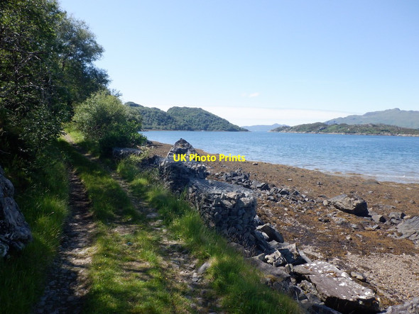 Photo 6"x4" Road from Druimbuidhe Glenborrodale c2021