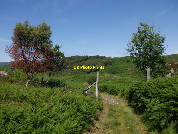 Photo 6"x4" Fence, Druimbuidhe Glenborrodale c2021